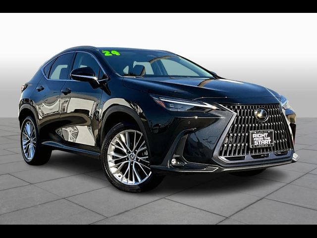 2024 Lexus NX 350 Luxury