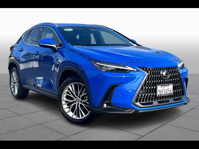 2024 Lexus NX 350 Luxury