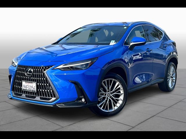 2024 Lexus NX 350 Luxury