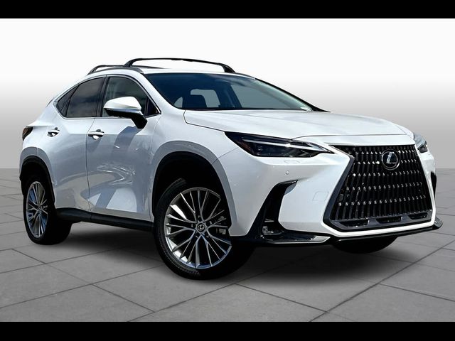 2024 Lexus NX 350 Luxury