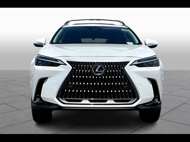 2024 Lexus NX 350 Luxury