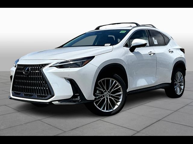 2024 Lexus NX 350 Luxury