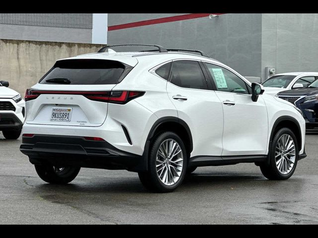 2024 Lexus NX 350 Luxury