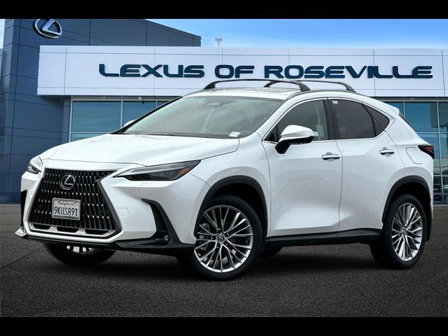 2024 Lexus NX 350 Luxury