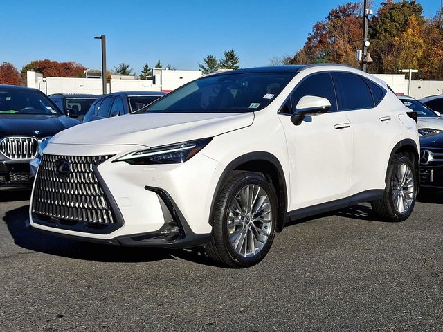 2024 Lexus NX 350 Luxury