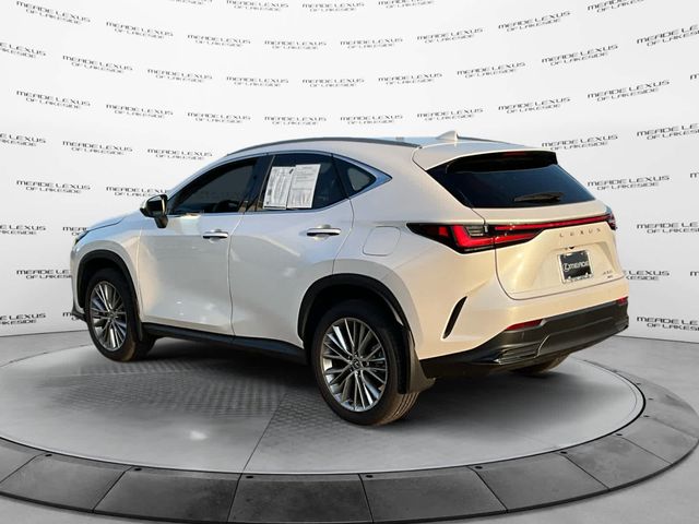 2024 Lexus NX 350 Luxury