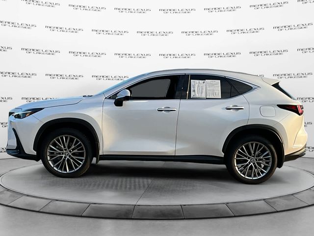 2024 Lexus NX 350 Luxury