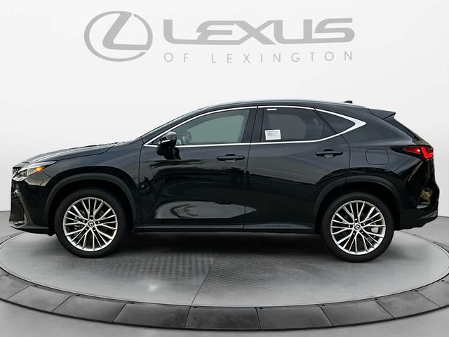 2024 Lexus NX 350 Luxury