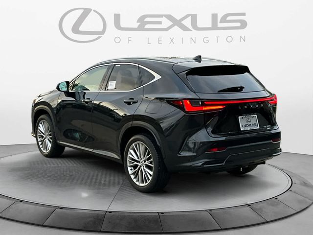 2024 Lexus NX 350 Luxury