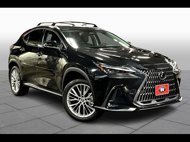 2024 Lexus NX 350 Luxury