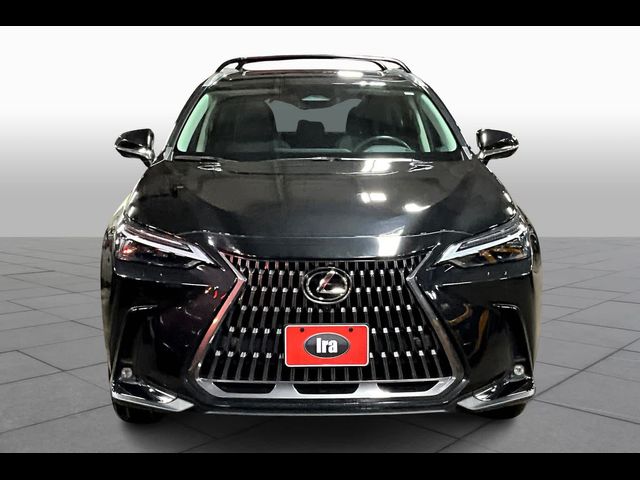 2024 Lexus NX 350 Luxury