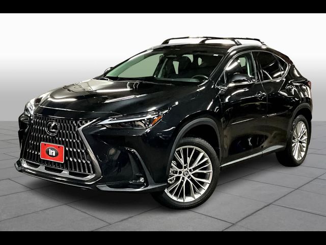 2024 Lexus NX 350 Luxury