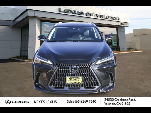 2024 Lexus NX 350 Luxury