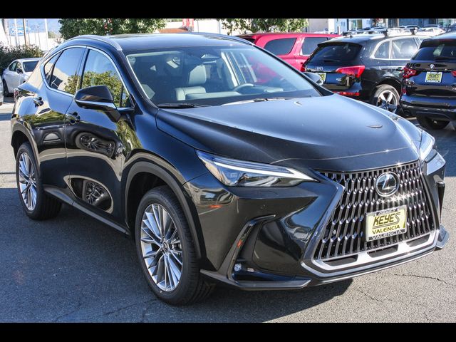 2024 Lexus NX 350 Luxury