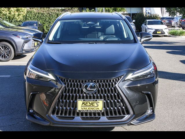 2024 Lexus NX 350 Luxury