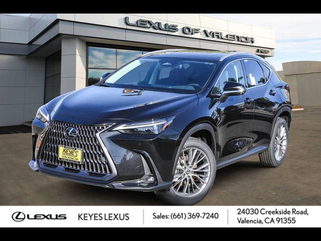 2024 Lexus NX 350 Luxury