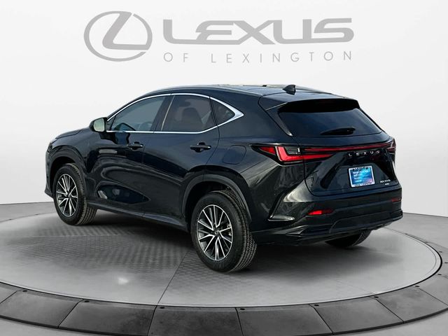 2024 Lexus NX 350h Luxury