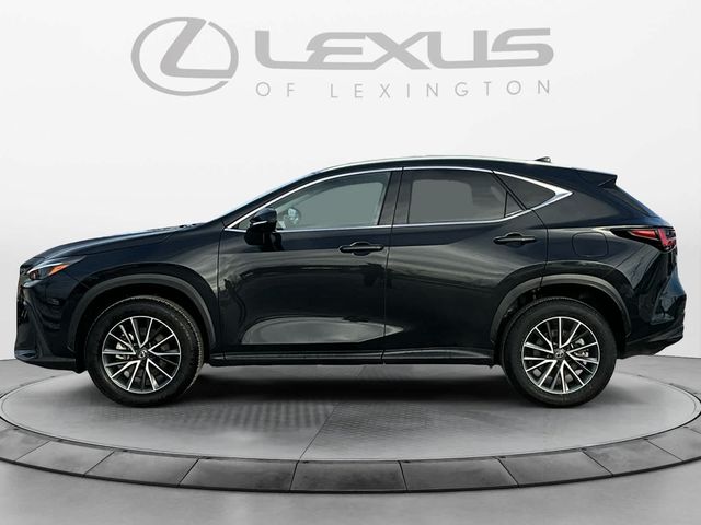 2024 Lexus NX 350h Luxury