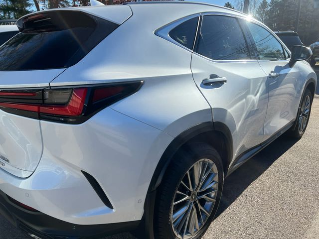 2024 Lexus NX 350h Luxury