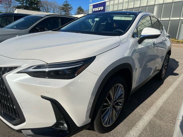 2024 Lexus NX 350h Luxury