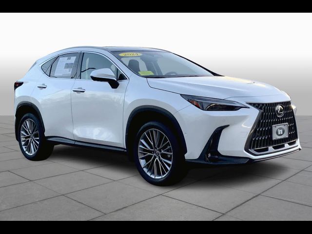 2024 Lexus NX 350h Luxury