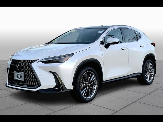 2024 Lexus NX 350h Luxury