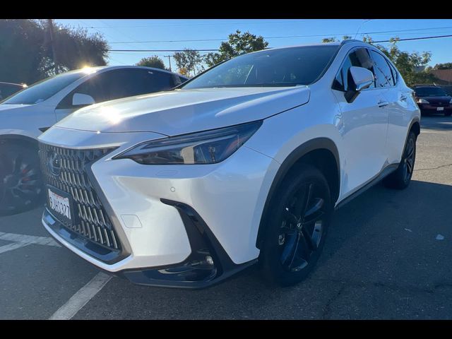 2024 Lexus NX 450h+ Luxury