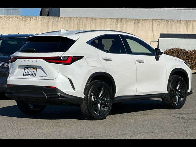 2024 Lexus NX 450h+ Luxury