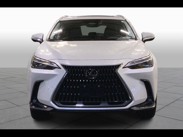 2024 Lexus NX 450h+ Luxury