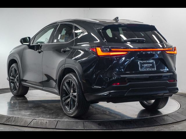 2024 Lexus NX 450h+ Luxury