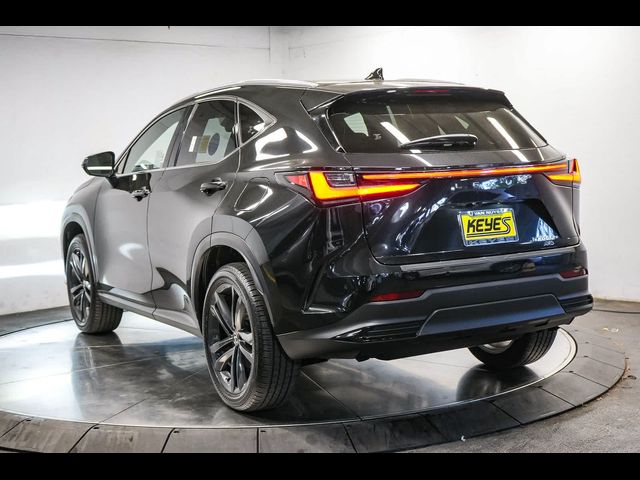 2024 Lexus NX 450h+ Luxury