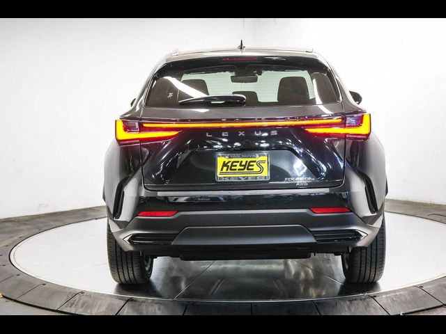 2024 Lexus NX 450h+ Luxury