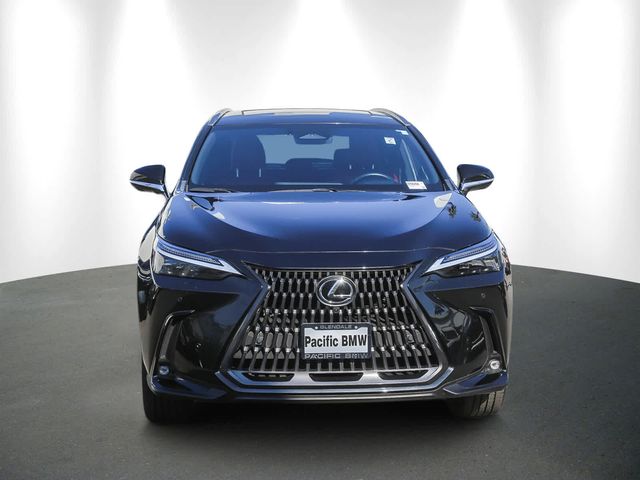 2024 Lexus NX 450h+ Luxury