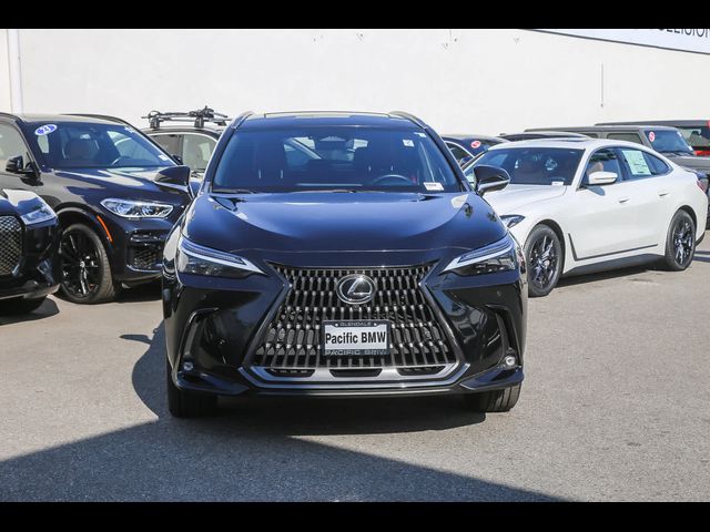 2024 Lexus NX 450h+ Luxury