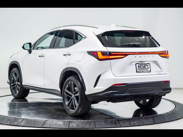 2024 Lexus NX 450h+ Luxury