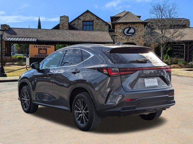 2024 Lexus NX 250