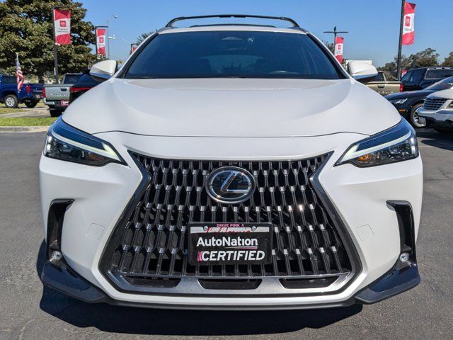 2024 Lexus NX 250