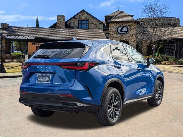 2024 Lexus NX 250