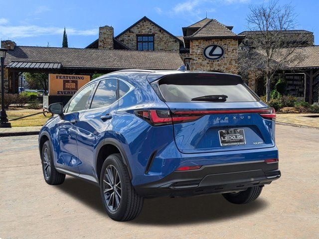 2024 Lexus NX 250