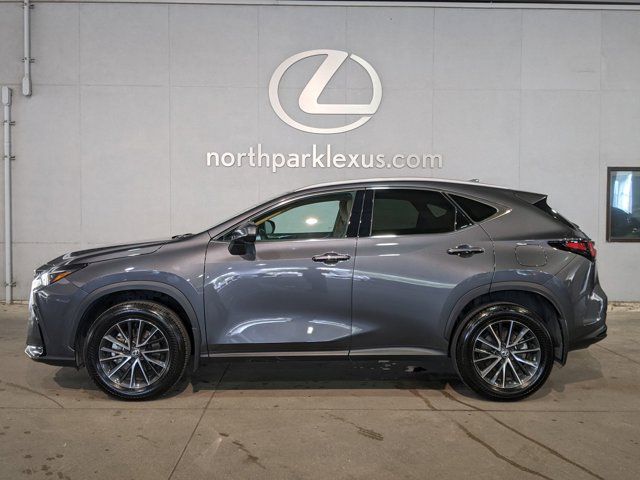 2024 Lexus NX 250