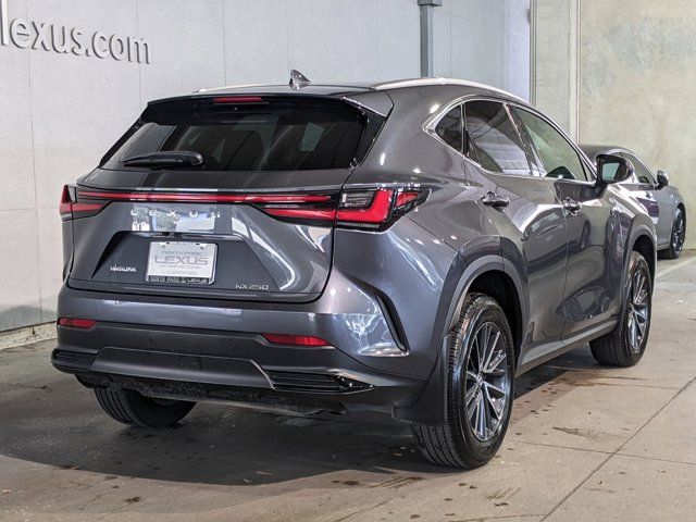 2024 Lexus NX 250