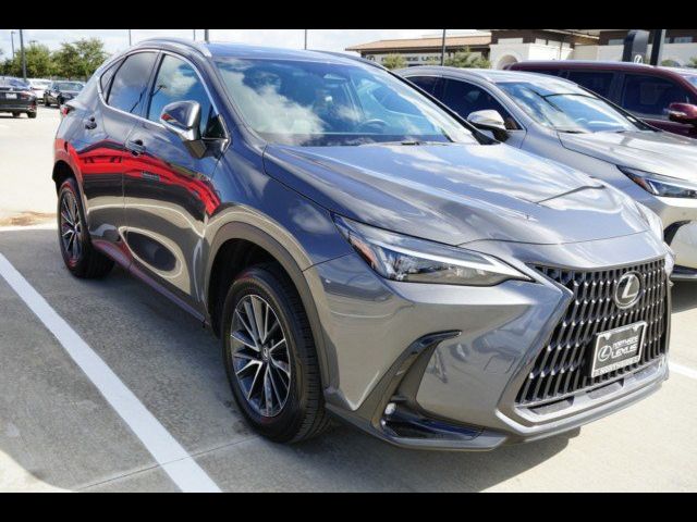 2024 Lexus NX 250