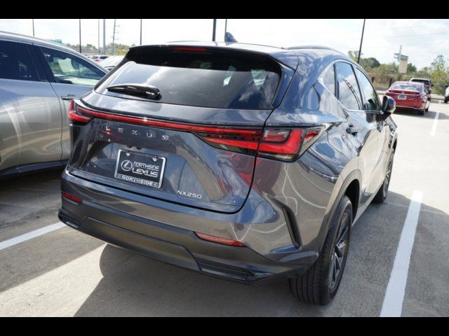 2024 Lexus NX 250