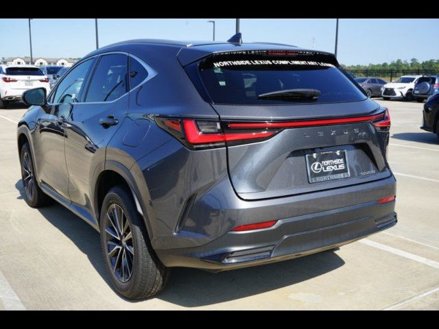 2024 Lexus NX 250