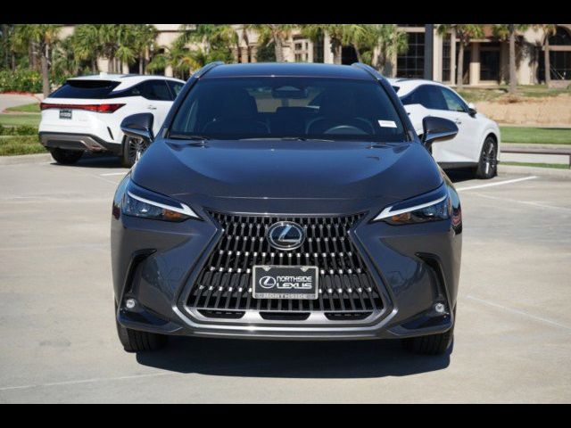 2024 Lexus NX 250