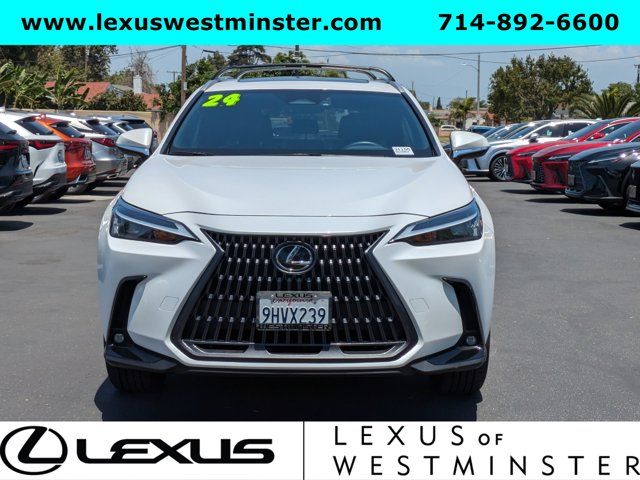 2024 Lexus NX 250