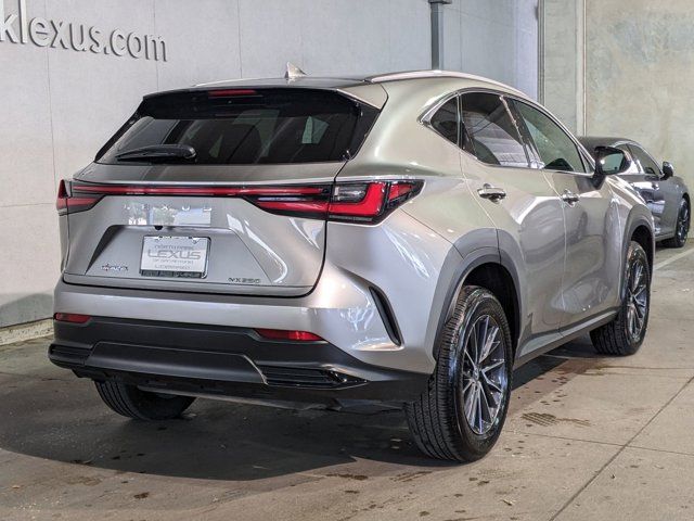 2024 Lexus NX 250