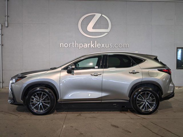 2024 Lexus NX 250