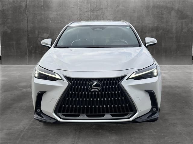 2024 Lexus NX 250