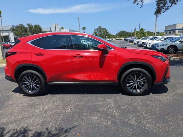 2024 Lexus NX 250